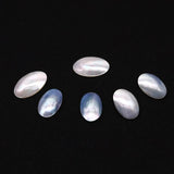 Seawater Shell Oval Ring 20-35mm DIY Jewelry Making