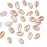 500g/lot Mixed PapayaWhip Cowrie Shell Beads for Jewelry Making