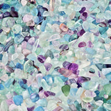 Natural Fluorite Tumbled Stone Chips 460g for Jewelry Making