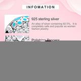 Silver 925 Round Beads Charms for Jewelry Making Women Gift