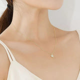TrustDavis 925 Sterling Silver Star Zircon Necklace For Women Office Lady