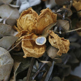 Bohemia Love Heart Pendant Necklace Natural Shell Long Necklaces