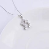 925 Silver Zircon Heart Musical Note Necklace For Women