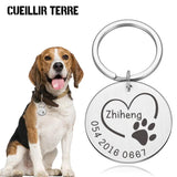 Custom Pet ID Keychain - Personalized Dog or Cat Name Tag