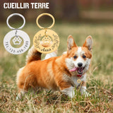 Custom Dog Collar with Pet ID Cat Accessories