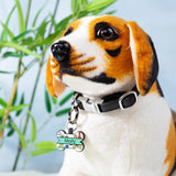 Personalized Cat Dog Tags Keychain Double Side Engraving Pet ID Name