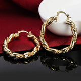 Silver Fine Gold/Rose Twisted Hoop Earrings For Lady