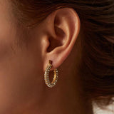 Uworld Pave Mini Martina Hoops -Gold Earring 18K PVD Plated Stainless Steel