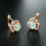 Opal Round Stone Earrings Crystal Hoop Earrings