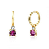 Stainless Steel CZ Heart Hoop Earring Red Punk Piercing Jewelry