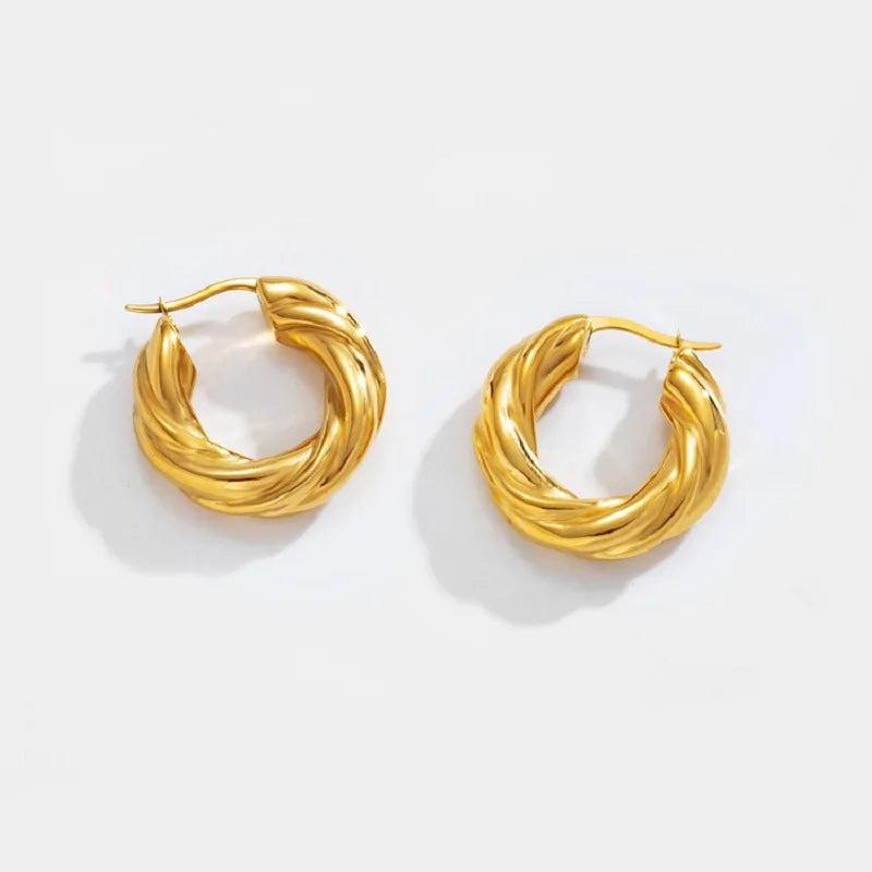 Punk Stainless Steel Twisted Hoop Earrings Plated Waterproof Jewelry