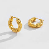 Punk Stainless Steel Twisted Hoop Earrings Plated Waterproof Jewelry