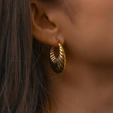 Stylish Hollow Oval Texture Earrings PVD Plating Hoops