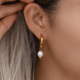 Freshwater Pearl Charm Hoop Earrings Stainless Steel Pearl Earring