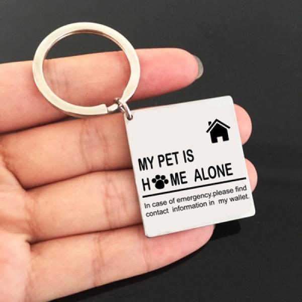 Engraved Owl My Pet Is Home Alone Keychain - Stainless Keyring