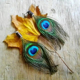 Peacock Feather Earrings - Eye Jewellery Birds Dangle Evil Eye Amulets