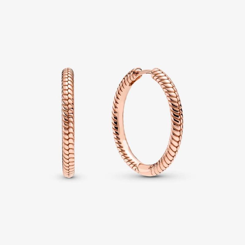 S925 Sterling Silver Hoop Earrings For Women Earing Jewelry