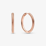 S925 Sterling Silver Hoop Earrings For Women Earing Jewelry