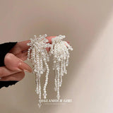 Beaded Simulated Pearl Grape Shape Dangle Earrings For Women