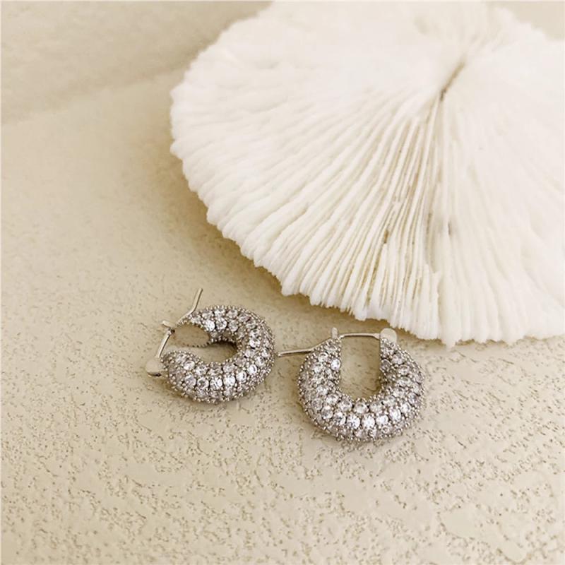 Bling CZ Stone Hoop Earrings for Women
