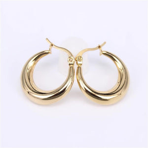 Two-color Stainless Steel Fancy Hoop Earrings for Women