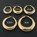 Women's Stainless Steel Hoop Earrings