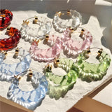 Colorful Resin Twist Circle Hoop Earrings for Women