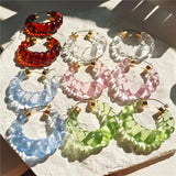 Colorful Resin Twist Circle Hoop Earrings for Women