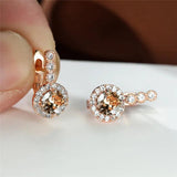 Rainbow Crystal Flower Hoop Earrings Multicolor Zircon Round Stone Earrings