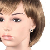 CZ Hoop Earrings For Women Zirconia Earings 4E40