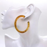 Acrylic Hoop Earrings Pink Brown Green Clear Geometric Half Circle Jewelry