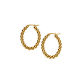 Stainless Steel Small Hoop Earrings for Women Oval Ear Jewelry