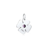 P Lock Opener Charms CZ 925 Silver Beads