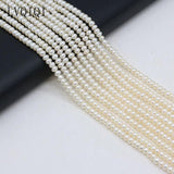 Freshwater Pearl Oval Abacus Beads 4-5mm
