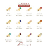 Silver 925 Constellations Earrings for Women with Zirconia