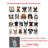 Dog Name Image Box Keychain Fashionable Appearance Creative Convenient Carrying