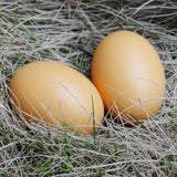 Easter Wooden Artificial Eggs Kids Toys DIY Creative Painted Graffiti