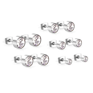 Rose Stainless Steel Round Cubic Earrings Set