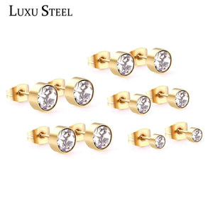 Rose Stainless Steel Round Cubic Earrings Set
