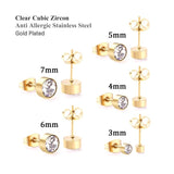 Rose Stainless Steel Round Cubic Earrings Set