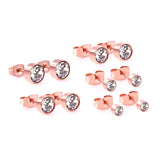 Rose Stainless Steel Round Cubic Earrings Set
