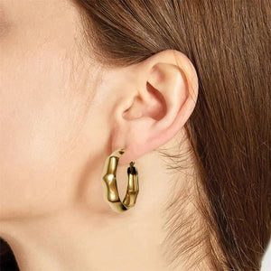 316 Stainless Steel and Bamboo Women's Earrings