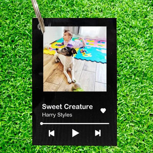 Funny Acrylic Song Poster Plaque, Custom Photo Keyring