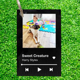 Funny Acrylic Song Poster Plaque, Custom Photo Keyring