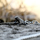 Retro Stainless Steel Lizard Necklace Pendant European American Jewelry
