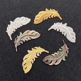 Seawater Shell Feather Pendant for Jewelry Making