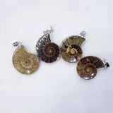 Natural Crystal Conch slice pendant Guardian Gemstones and Couple decoration