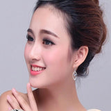 925 Silver Bauhinia Plum Blossom Zircon Earrings
