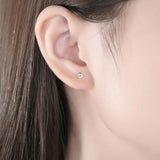 925 Sterling Silver Zircon Round Stud Earrings 14K Plating