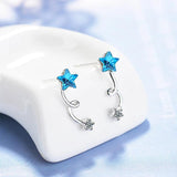 925 Silver Crystal Star Stud Earrings for Women
